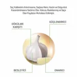 Sarımsak & Isırgan Zeytinyağlı Şampuan 700ml - Görsel 2