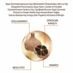 Siyah Sarımsak Şampuan 700ml - Görsel 2
