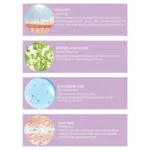 Kolajen Serum 30ml - Görsel 3