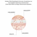 Kolajen Serum 30ml - Görsel 4