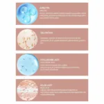 Leke Karşıtı Yüz Bakım Serumu 30ml - Görsel 3