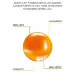 Vitamin C %15 Serum 30ml - Görsel 4