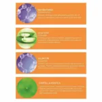 Panthenol %9 Nemlendirici Losyon 150ml - Görsel 3