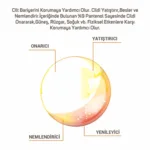 Panthenol %9 Nemlendirici Losyon 150ml - Görsel 4