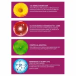 Arnica Montana Yatıştırıcı Krem 50ml - Görsel 3