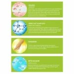 Seramid Kuru Saçlar Için Şampuan 500ml - Görsel 3