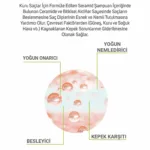 Seramid Kuru Saçlar Için Şampuan 500ml - Görsel 2