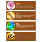 Ratanya, Myrrha Öclü Diş Macunu - Görsel 3