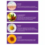 Çift Fazlı Isı Karşı Koruyucu Kolay Tarama Spreyi 250ml - Görsel 2