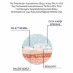 Çift Fazlı Isı Karşı Koruyucu Kolay Tarama Spreyi 250ml - Görsel 3