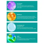 Ağız Bakım Suyu 250ml - Görsel 4