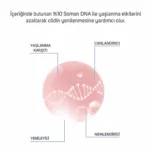 %10 Somon Dna Meso Serumu 6ml X 2 Adet - Görsel 3