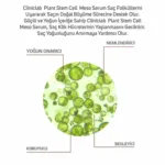 %10 Bitki Kök Hücreli Meso Serum 6ml x 2 adet - Görsel 4