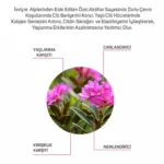 Swiss Ice Beauty Meso Serum 6ml X 10 Adet - Görsel 4