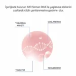 %10 Somon DNA Meso Serumu 6ml x 10 adet - Görsel 4