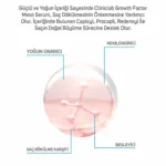 %14 Procapixyl Büyüme Faktörü Meso Serum 6ml x 10 adet - Görsel 4