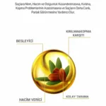 Avokado & Jojoba Şampuan 700ml - Görsel 3