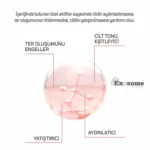 Beyazlatıcı ve Aydınlatıcı Terleme Önleyici Roll-On 50ml - Görsel 4