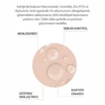 %10 Niacinnamide and %5 Ceramide Serum 30ml - Görsel 2