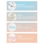 %10 Niacinnamide and %5 Ceramide Serum 30ml - Görsel 3