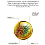 Çam Terebentin Ve Tatlı Badem Özlü Şampuan 500 ml - Görsel 3