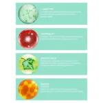 Pro+ L-Karnitin Sıkılaştırıcı Vücut Jeli 200 Ml - Görsel 3