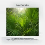 MD Plus Gelişmiş Formül Saw Palmetto 200 mg 60 Tablet - Görsel 3