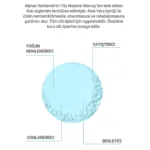 Aljinat Nemlendirici Toz Yüz Maskesi 80 Gr - Görsel 4