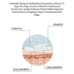 Antioksidan Onarıcı Şampuan 300 ml - Görsel 4