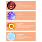 Pro+ Vitamin-C %10 & Astaksantin & Resveratrol Serum 30 Ml - Görsel 3