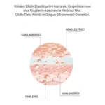 Pro+ Pure %10 Kolajen Güçlendirici Meso Serum 6 Ml X 2 Adet - Görsel 4