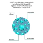 Pro+ Pure %5 Bitki Kök Hücre Meso Serumu 6 Ml X 10 Adet - Görsel 4