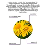 Arnica Montana Hassas Temizleme Jeli 200 Ml - Görsel 3
