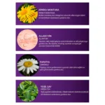 Arnica Montana Hassas Temizleme Jeli 200 Ml - Görsel 4