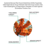 Novoretin Retinol And Beyond %3 Sea Buckthorn Serum 20 ml - Görsel 3