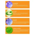 Panthenol %9 Nemlendirici ve Onarıcı Losyon 500 ML - Görsel 3