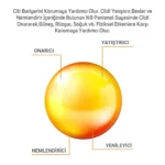 Panthenol %9 Nemlendirici ve Onarıcı Losyon 500 ML - Görsel 4